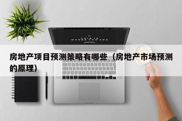 房地产项目预测策略有哪些（房地产市场预测的原理）