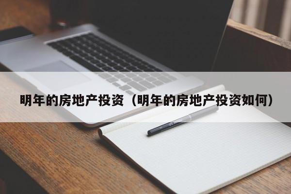 明年的房地产投资(明年的房地产投资如何)